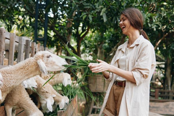 diff�rence zoo et parc animalier