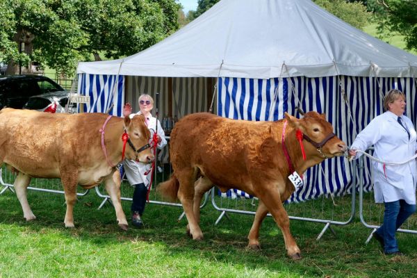 salon de l'agriculture