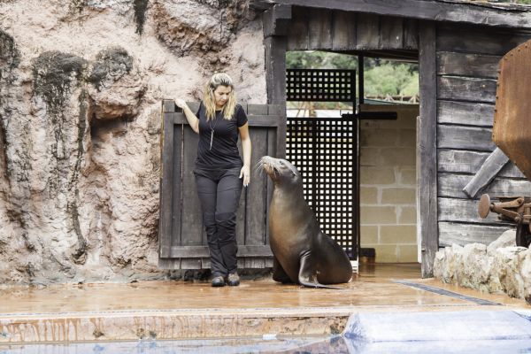 animateur p�dagogique