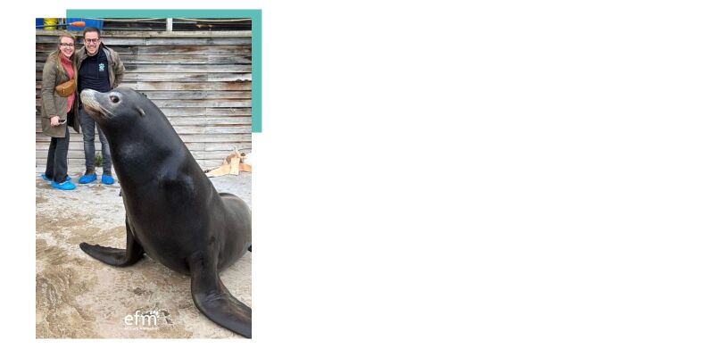 Tutos Amn�ville EFM