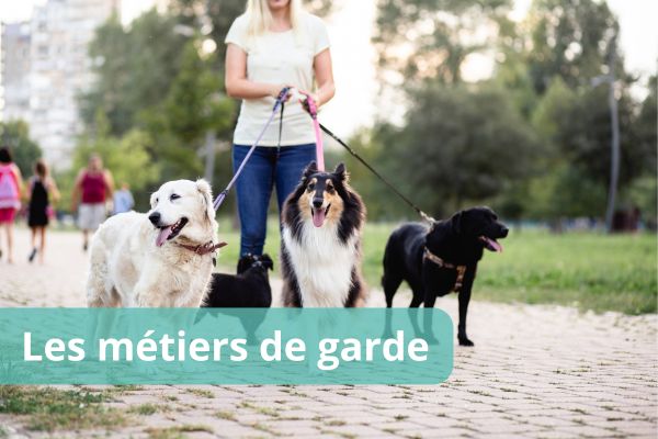 metiers de garde