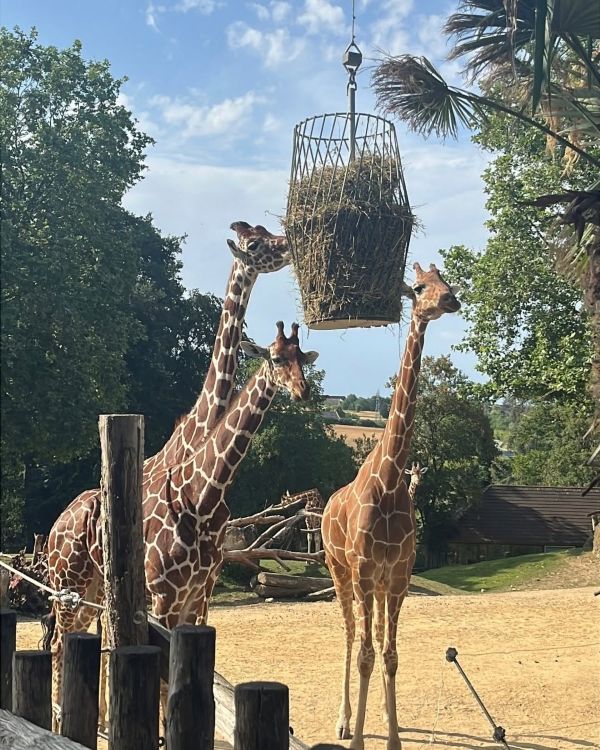 Rencontre EFM au Zoo de Beauval
