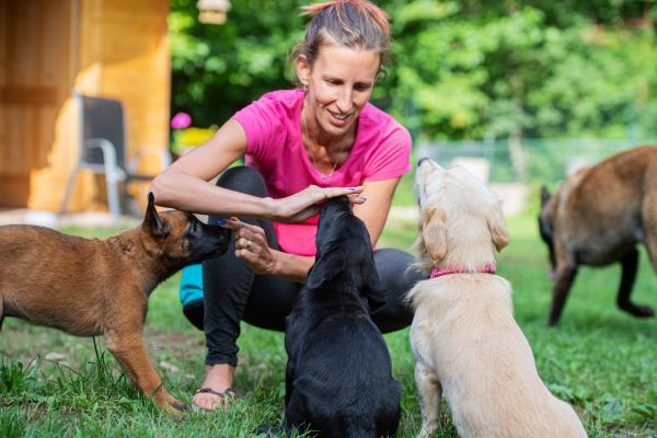 �ducatrice canine