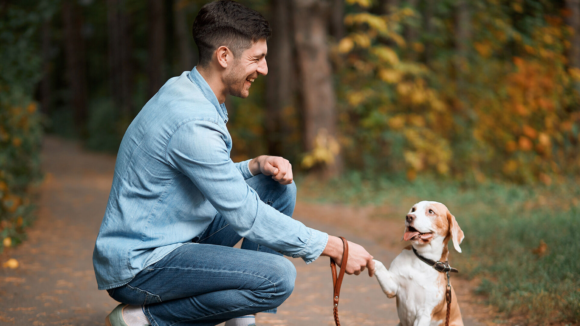 Devenir ducateur Canin